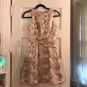Never before worn Miss Selfridge dress